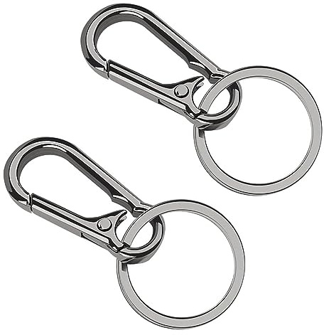 GENSMILE Karabiner Schlüsselanhänger Schlüsselringhalter - 2 Stück Schlüsselanhänger-Organizer mit doppelter Öffnung, Edelstahl Schlüsselring-Set für Schlüssel, Haustiere, Rucksack, DIY, Silber Grau