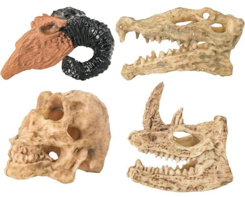 Zghhc 4 Stücke Schädel Aquarium Dekor Nashorn Schädel Krokodil Schädel Schafe Schädel Handwerk Dekor Landschaftsbau Aquarium Ornament Für Zuhause