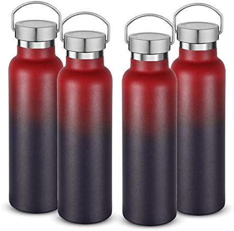 Neihepal Isolierte Wasserflaschen, 590 ml, Großpackung 4 Stück, Edelstahl, doppelwandige Sportflasche mit Deckel des Griffs, Metall, Geschenk (dunkler Regenbogen, 4er-Set)