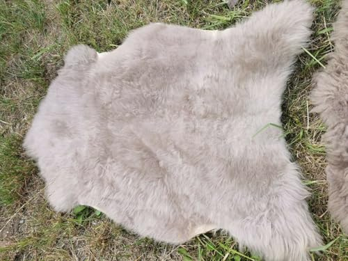 Provellus Echte Öko Schaffelle Lammfell Schaffell Fell Taupe Bis 140cm 2.Wahl Schnäppchen (eher kurz (2cm - 5cm), 120-130cm lang)