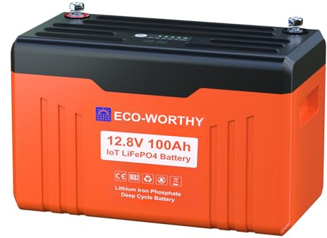 ECO-WORTHY 12V 100Ah LiFePO4 Bluetooth mit Display V2.0,1280Wh Lithium Batterie 12V mit 100A BMS Low Temperature Schutz für Boot,Wohnwagen,Wohnmobil