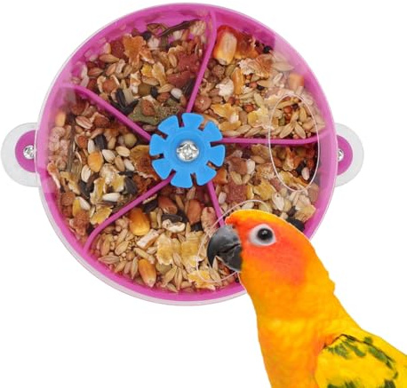Hypeety Fågel papegoja födosökande leksak kreativ frö mat boll rotera hjul intelligens tillväxt utbildning leksak för papegoja parakit nymfparakit conure lovebird