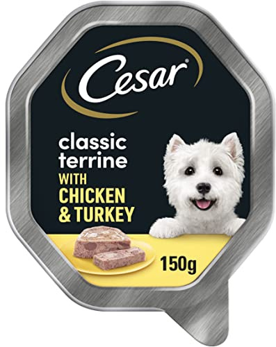 Cesar Klassisk gelé terrine 14 burkar, premium våtfoder för vuxna hundar, kyckling och kalkon, förpackning med 2 (7 x 150 g)