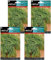 Pack 4 Semillas de eneldo Semillas Batlle