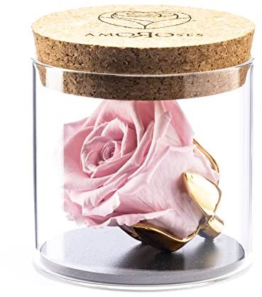 Amoroses Bijou - Ewige stabilisierte Rose mit 24 Karat vergoldetem Kelch im Glasgefäß | Geschenkidee