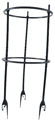 CIYODO Support Plantes Grimpantes pour Pot D’intérieur et Jardin, Plastique Robuste, 3 Tiges 2 Cercles 20 Cm, Étagère Extérieure pour Plantes et Tuteurs Jardin Polyvalents