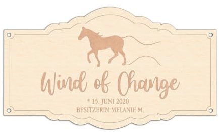 Boxenschild für Pferde - Personalisiert mit Wunschtext, Pferd Boxenschilder 3 Formen, 8 Motive - Holz oder Acryl, Farbe Form-2