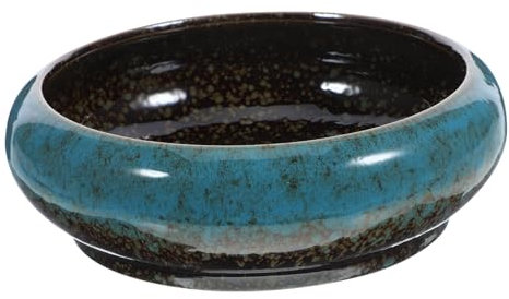 1Pc Pots De Plantes Pot De Plante Hydroponique Pot De Jonquille Pot De Plante Pour Plantes Succulentes Planteur Hydroponique Terrariums De Plantes D'Intérieur Bol De Lotus Pot De