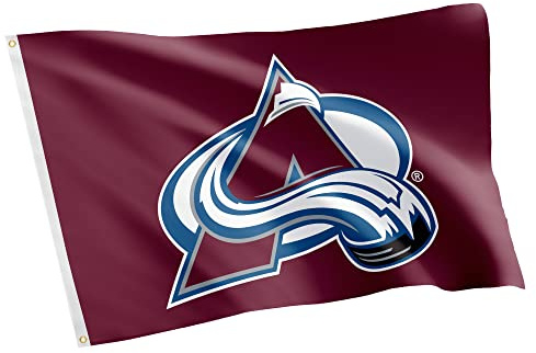 Desert Cactus Colorado Avalanche Flag NHL 100% Polyester Indoor Outdoor 3x5 feet National Hockey League Team Flags (Design #2)