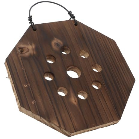 GAROZATION Support Mural pour Fougère Corne De Cerf Planteur Vertical pour Jardin Intérieur pour Orchidées Et Plantes Succulentes Bois Carbonisé Léger Et