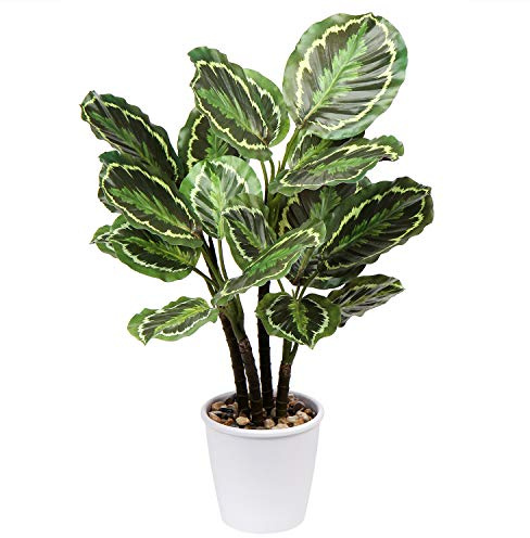 Briful 24.8 Tall Artificial Plants Outdoor 63CM Large Artificial Calathea Medallion Fake Plants Large Artificial Plants Indoors Tropical Plants for Office Home Kitchen Bathroom Decor