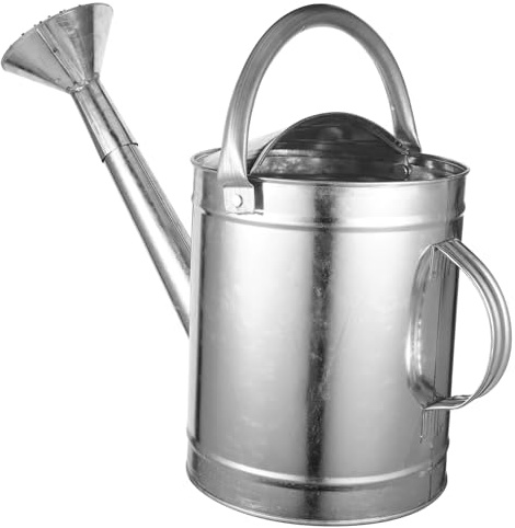 Kisangel Arrosoir D’intérieur en Fer 5l Long Bec Verseur pour Plantes Succulentes, Pot D’arrosage Pratique Poignée Ergonomique, Arrosoir Robuste pour Jardinage Intérieur Et Extérieur