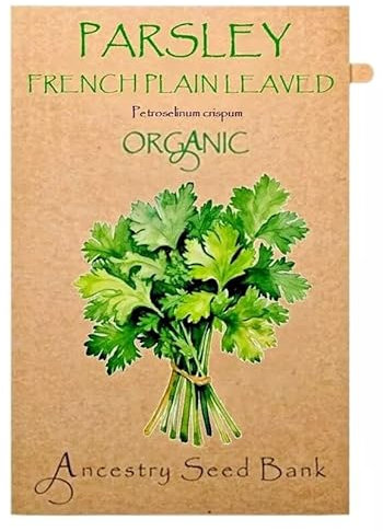Organic Parsley ❁ French Plain ❁ 200 Seeds Heirloom - Non GMO