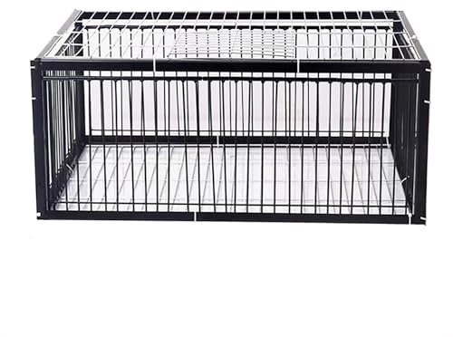 DKPLOE Piège à Pigeons Piège à Cage Animaux piège Pièges à Oiseaux Cage piège Conception Anti-Fuite Assemblage Facile Convient aux Pigeons, perroquets, Corbeaux et Oiseaux(60x40x26cm)