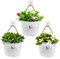 BOFUNX 3pcs Fioriere da Parete Vasi di Fiori da Parete Vasi da Appendere a Parete Vaso Sospeso in Metallo per Interni e Esterni Casa Muro Decorazione