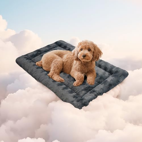 Mora Pets Hundedecke Flauschig Hundematte Waschbar und rutschfest Hundekissen für Kleine Mittelgroße Grosse Hundebett Weiches und Kuschelig Hunde Decke, 60 x 45 cm
