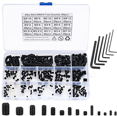 300 Pcs Grub Screws Assortment, Carbon Steel Metric Fasteners Screws Kit, M2.5/M3/M4/M5/M6/M8 Threaded Hex Head Socket Screws for Door Handles, with 5 Pcs Allen Key