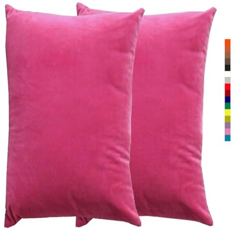 Kissenbezug 60x80 Kissen 50x70 Bezug Couch Sofa Kissenbezüge Samt 40x60，2er Set Dekokissen Bezug Blau/Grün/Grau,Pillowcase Pillow Cases 40x70, Kissen Abdeckung ( Color : 1 Pink , Size : 60x80 cm 2pcs