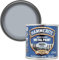 Direct to Rust Metal Paint Smooth Finish – Silver, 250ml (Pack of 1) | Anti-Rust Protection | Quick-Drying, Long-Lasting Metal Paint for Indoor & Outdoor Use