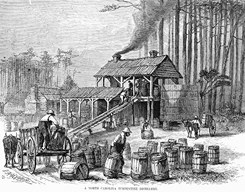 Turpentine Distillery Nafrican Americans Working In A Turpentine Distillery In The Pine Woods Of North Carolina Wood Engraving American Mid-19Th Century Poster Print by (24 x 36)