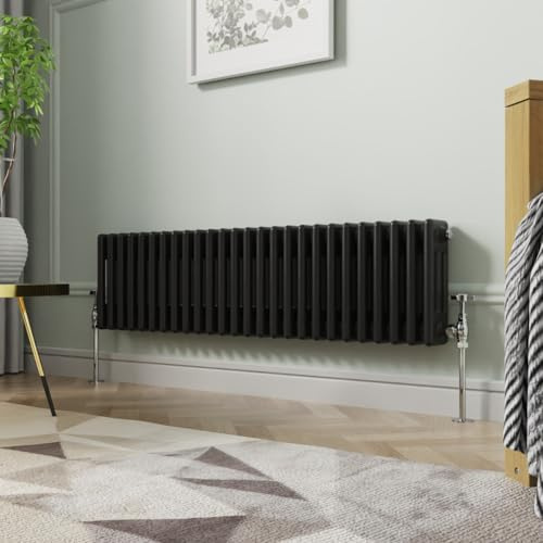 NRG Radiateur horizontal traditionnel en fonte Noir 300 x 1190 mm