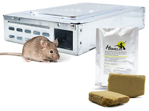 FINCA CASAREJO Trampa para Ratones multicaptura - Captura Ratones Vivos (DTRM) - Incluye Hamelin, Atrayente Natural de Ratones y Ratas.