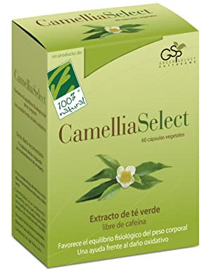 CamelliaSelect® - Extracto de Té Verde con Tecnología Fitosoma® - Alta Absorción - Con Vitamina C y Zinc - Antioxidante y Bienestar General - Mejora la Salud Metabólica - 60 Cápsulas - 100% Natural
