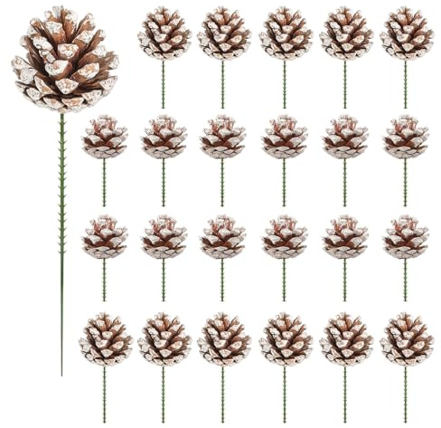 TaoQ C 24 pezzi coni di pino con steli, 2 dimensioni, coni di pino di neve naturale per artigianato albero di Natale, regali, ringraziamento, autunno, decorazione domestica di Natale