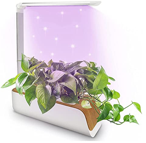 ADITAM Hydroponie, Lampe Potager Interieur Hauteur RéGlable, Affichage De La TempéRature, Plantes Interieurs, Convient Aux Semis/Graines/Plantes Grasses