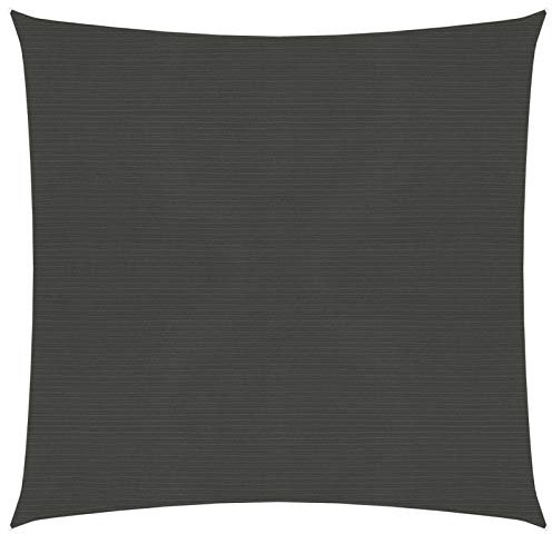 ZEYUAN Sonnensegel, Sichtschutz Balkon, Balkon Sonnenschutz, Sonnenschutzsegel,Regenschutz Balkon, Seitenmarkise, Sichtschutz Terrasse, 160 g/m² Anthrazit 3x3 m HDPE