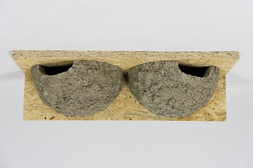 Mehlschwalbendoppelnest, Schwalbennest, Nistkasten, Nisthilfe, Mehlschwalbennest (1)