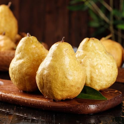 birnenbaum obstbäume kräutersamen birnen obstbaum garten hochbeet säulenobst bonsai bäumchen kaufen pflanzenkübel pflanzensamen zimmerpflanzen pflanzendeko biosaatgut kräuterpflanzen 30samen
