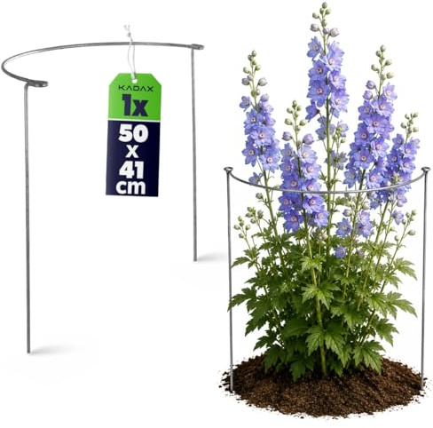 KADAX Pflanzenhalter 50cm, Stabiler Staudenhalter, halbrunde Pflanzenstütze aus Stahl, solide Strauchstütze für Rosen, Buschstütze, Rankengewächs, Blumenstütze, Staudenstütze