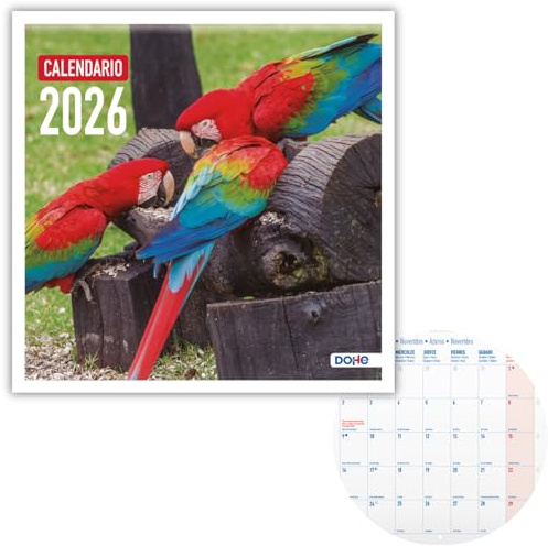 Dohe - Väggkalender 2026-12 månader januari till december, månadsvy, 30 x 30 cm, spanskt språk, häftbindning, utrymme för anteckningar, årsplanering, tjockt papper, 120 gr/m² - exotiska fåglar