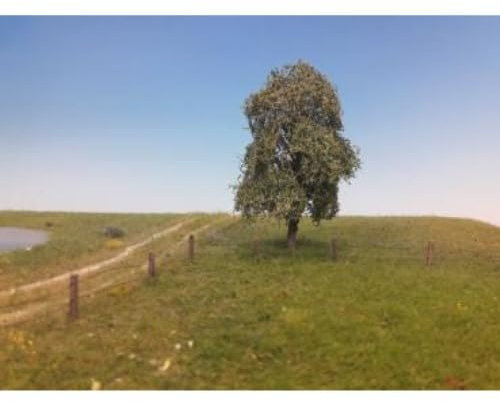 Silhouette 240-62 Saule pleureur