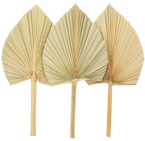 Gatuida Adorno Artístico De Hojas De Palma Secas 3 Piezas Hojas Naturales Decoración Colgante para Bodas y Fiestas Arreglo Floral Diferencial