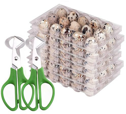 Wachteleierkartons, 25 Stück mit 15 Gittern, kleine Eier, Kartonhalter, wiederverwendbar, Kunststoff, Wachteleierbehälter, 2 Stück Edelstahl-Wachteleierschneider, Schere, Wachteleierschneider, Öffner