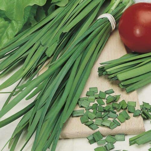 50 Seeds of Garlic Chives Fresh Vegetable