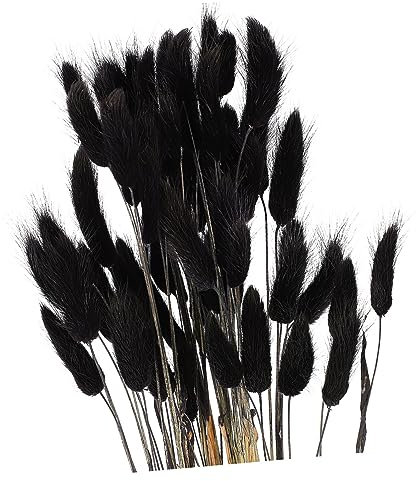 DECHOUS 60stücke Dried Tails Elegante Hochzeitsdekoration Für Fotos Getrocknete Blumen Für Arrangements Für Rustikale Anlässe Und Wohnräume