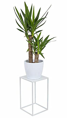 HowHomely Support moderne en métal pour plantes Blanc 40 cm