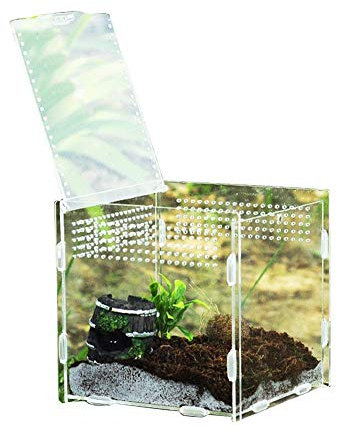Reptilienzuchtbox Acryl Reptilienbox Transparente Fütterungsbox Reptilienzuchtbecken Terrarium für Spinnen Skorpione Gehörnte Frösche Käfer Faunarium
