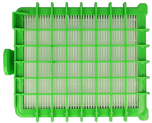 vhbw Filtre compatible avec Rowenta RO544511/410, RO546311, RO546311/410, RO5463FA/410 aspirateur - Filtre HEPA contre les allergies