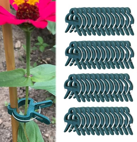 JAONLD Pflanzenclips Pflanzenklammern 40 Stücke Wiederverwendbare Tomatenhaken Klammern für Pflanzen Pflanzenstützclip für Kletterpflanzen Rankhilfe für Unterstützen und Halten Garten (klein)