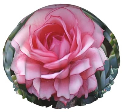 Duschhaube mit rosa Flamingo-Sukkulenten, doppellagig, für Damen, wiederverwendbar, geeignet zum Baden und Spa