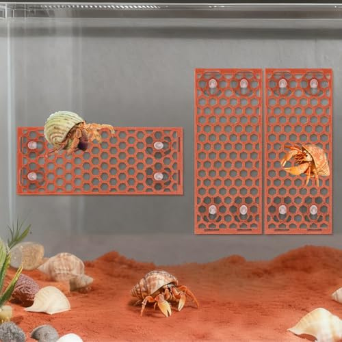 Boxili 3PCS Hermit Crab Ladder with Suction Cups, Multifunctional Hermit Crab Climbing Wall for Small Animals Exercise & Aquarium Decoration