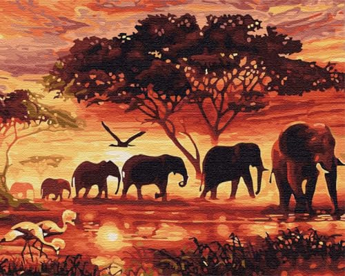 Artnapi Malen nach Zahlen Erwachsene mit Rahmen | DIY Handgemalt | Tiere - Geist Afrika | Kit für Anfänger und Erwachsene | Set inklusive Acrylfarben & Pinsel | 40x50cm Leinwand | Ideal als Geschenk