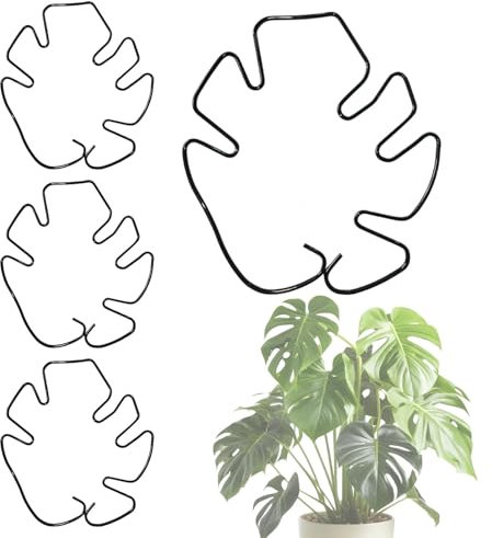 Soporte de vástago de la planta, soporte de Monstera Titulares de titulares