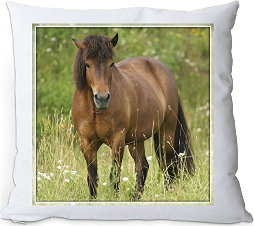 Nanyuk +++ ISLÄNDER Islandpferd Pferd - Kuschelkissen/Kissen | Pillow/Dekokissen - ISI 10
