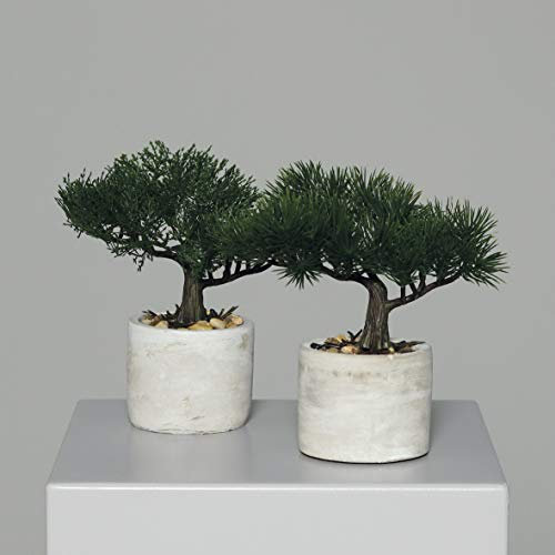 mucplants Künstliches 2er Bonsai-Set Zeder und Kiefer ca. 18cm im grauen Zementtopf Kunstpflanzen künstlicher Baum
