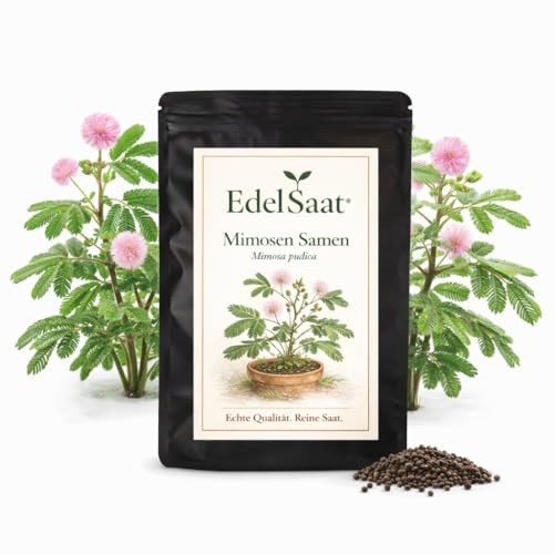 EdelSaat® Echte Mimose Samen – Mimosa pudica – Premium Saatgut mit hoher Keimrate – Exotische Zimmerpflanze & Zierpflanze für Balkon, Garten und Topf